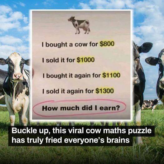 Take a Seat, This Viral Cow Math Puzzle Will Take Your Brain for a Ride