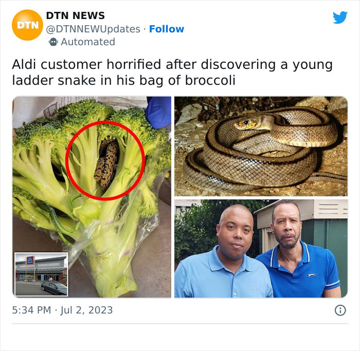 “Shocking Encounter: Man’s Horrifying Discovery Inside Bag of Aldi-Bought Broccoli”